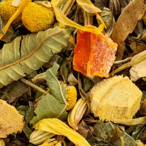 infusion-digestive-bio-detail Infusion digestive : gros plan sur la racine de réglisse, la carotte, le fenouil et la camomille